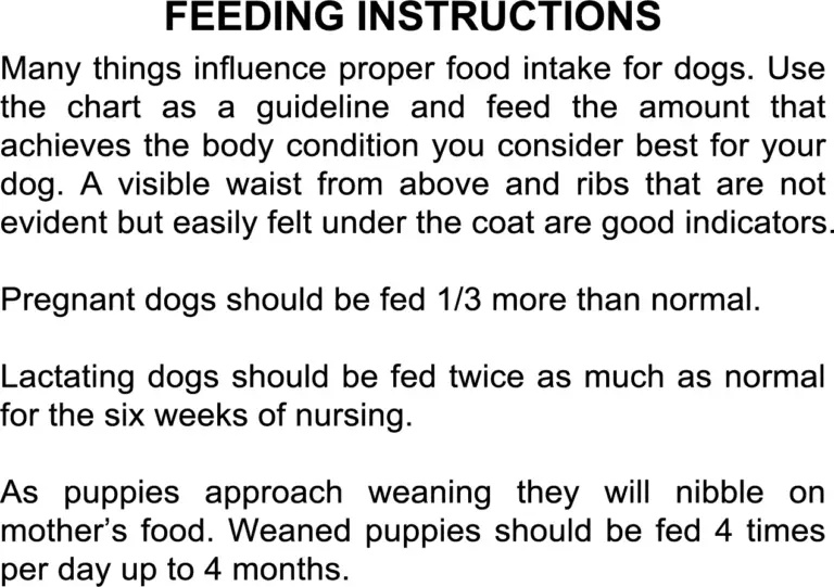 Feeding Instructions 06202025